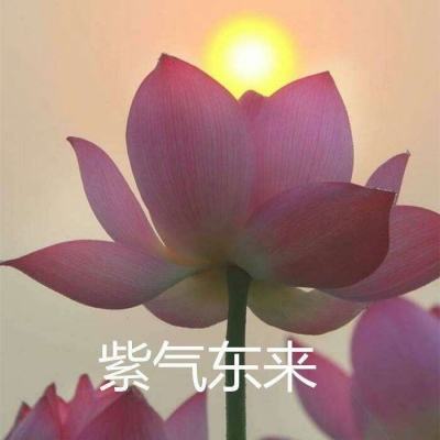 剑斩无双手游破解版下载